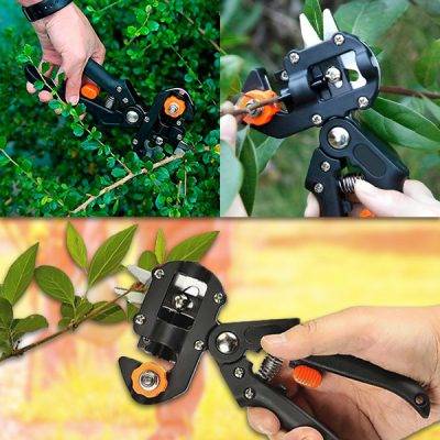 Ciseaux pour taille et greffage faciles Master-Cut