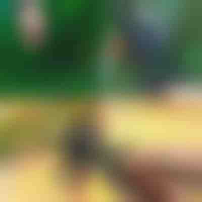 Ciseaux pour taille et greffage faciles Master-Cut