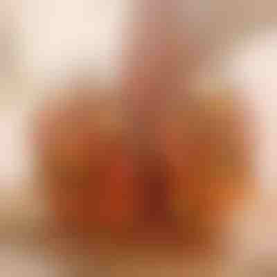 Ensemble de gril pour friteuse à air | AIRROAST