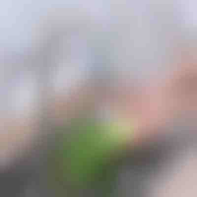 Filtre de robinet en carbone avancé | CHARFILTER