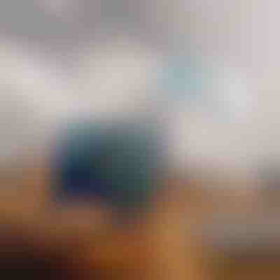 Répéteur WiFi bi-bande | WIFINA