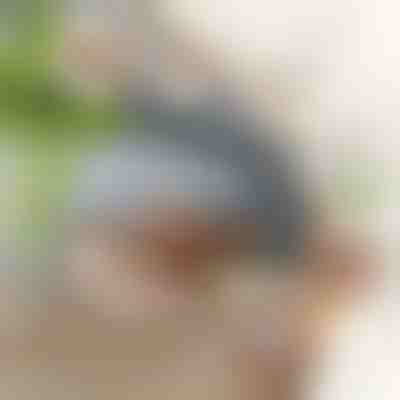 Jouet interactif d’oiseau battant des ailes | CHIRRCAT