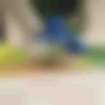 Éplucheur électrique de fruits et légumes | PEELMATIC